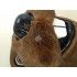Maskottchen Biber 1