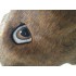 Maskottchen Biber 1