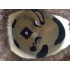 Maskottchen Biber 1