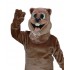 Maskottchen Biber Kostüm 2 (Werbefigur)
