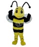 Biene Kostüm 1