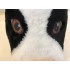Kuh Maskottchen Kostüm 1 (Professionell)