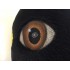 Kostüm Pinguin Maskottchen 2 (Werbefigur)
