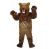 Kostüm Grizzly Bär 8 + Haube + Kissen + Tasche (Werbefigur)