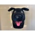Maskottchen Hund Kostüm 7 (Werbefigur)