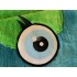 Kostüm Erde / Weltkugel Maskottchen (Hochwertig)