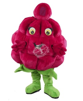 Kostüm Himbeere Maskottchen (Hochwertig)
