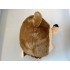 Kostüm Bär 22a + Tasche "XL" + Hygiene Maske (Hochwertig)