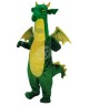 Drache Kostüm 5