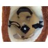 Maskottchen Eichhörnchen Kostüm 1 (Werbefigur)