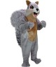 Maskottchen Eichhörnchen 3
