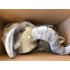 Elefant Maskottchen Kostüm 5 (Professionell)