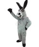 Maskottchen Esel 1