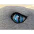 Maskottchen Hai Kostüm 1 (Werbefigur)