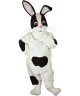Maskottchen Kaninchen 2