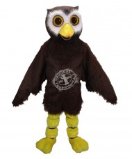 Kostüm Eule Vogel Maskottchen 3 (Werbefigur)