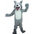 Maskottchen Husky 2