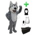 Kostüm Hund Husky 3 + Haube + Kissen + Tasche (Professionell)