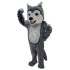Husky Hunde Maskottchen Kostüm 40 (Professionell)