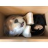 Hund Beagle Maskottchen Kostüm 5 (Professionell)