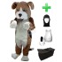 Kostüm Hund Beagle 3 + Haube + Kissen + Tasche (Professionell)