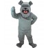 Maskottchen Dogge 6