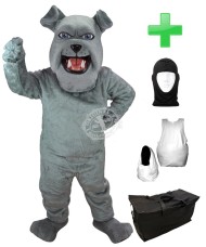 Kostüm Hund Bulldogge 1 + Haube + Kissen + Tasche (Werbefigur)