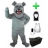 Kostüm Hund Bulldogge 1 + Haube + Kissen + Tasche (Werbefigur)