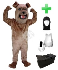 Kostüm Hund Bulldogge 2 + Haube + Kissen + Tasche (Werbefigur)