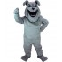 Maskottchen Dogge 1