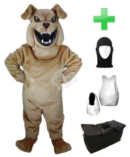 Kostüm Hund Bulldogge 4 + Haube + Kissen + Tasche (Werbefigur)