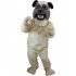Maskottchen Dogge 7
