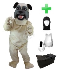 Kostüm Hund Bulldogge 7 + Haube + Kissen + Tasche (Werbefigur)
