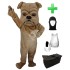 Kostüm Hund Bulldogge 11 + Haube + Kissen + Tasche (Professionell)