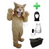 Kostüm Katze 5 + Haube + Kissen + Tasche (Werbefigur)