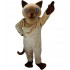 Maskottchen Katze 7