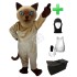 Kostüm Katze 9 + Haube + Kissen + Tasche (Werbefigur)