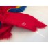 Maskottchen Papagei Kostüm 3 (Werbefigur)