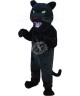 Maskottchen Panther 2