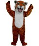 Maskottchen Tiger 6