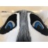 Maskottchen Waschbär Kostüm 1 (Werbefigur)