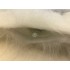 Maskottchen Eule Kostüm 3 (Werbefigur)