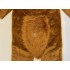 Kostüm Eichhörnchen Maskottchen 9 (Hochwertig)