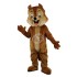 Kostüm Eichhörnchen Maskottchen 9 (Hochwertig)
