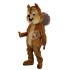 Kostüm Eichhörnchen Maskottchen 10 (Hochwertig)