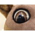 Maskottchen Känguru Kostüm 2 (Werbefigur)