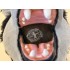 Kostüm Wolf Maskottchen 6 (Werbefigur)