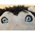 Kostüm Wolf Maskottchen 6 (Werbefigur)