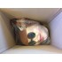 Person Cooler Typ Kostüm 4 (nur Kopf)