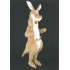 Kostüm Känguru Maskottchen 4 (Hochwertig)